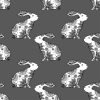 Grey Hares